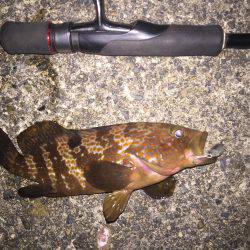 仕事帰りライトゲーム